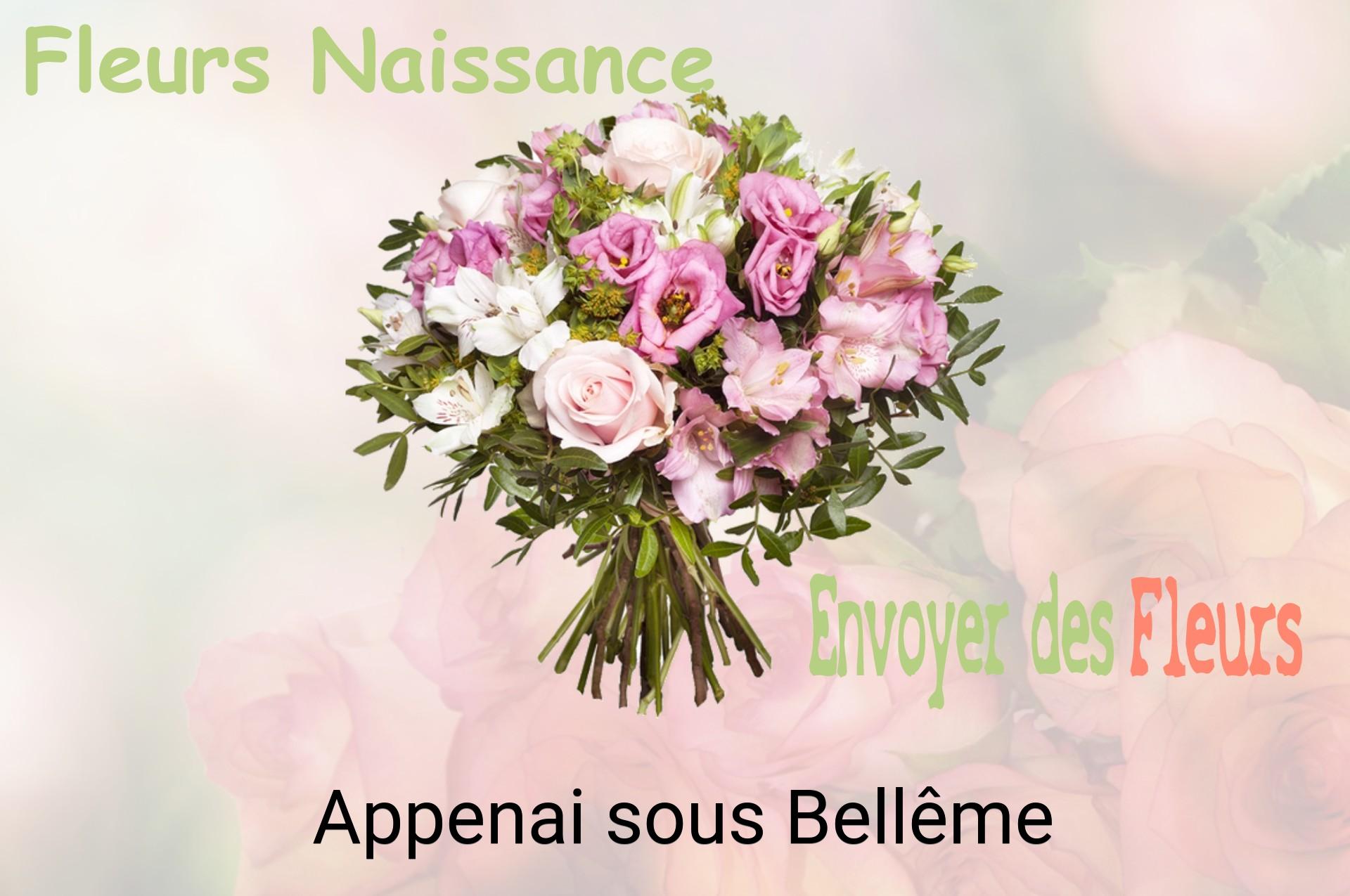 Bouquet de fleurs de naissance livré à Appenai-sous-Bellême