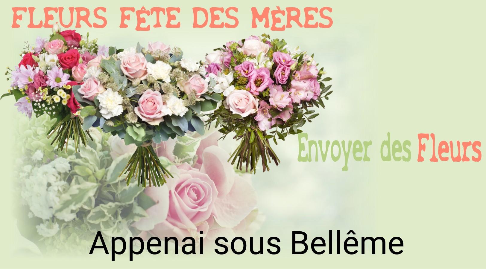 Bouquet de Fête des Mères livré à Appenai-sous-Bellême